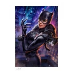 Catwoman #21 Art Print By Ian MacDonald