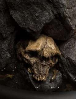 Herr Der Ringe Masters Collection Statue 1/3 Gollum -Optimal Model Geschäft gollum weta 1 3 bunker158 6