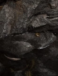 Herr Der Ringe Masters Collection Statue 1/3 Gollum -Optimal Model Geschäft gollum weta 1 3 bunker158 7