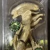 Xenomorph Translucent -Optimal Model Geschäft s l1600 23 1