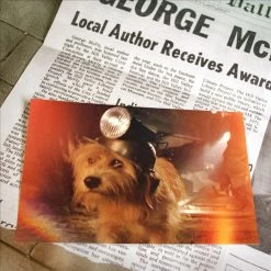 Zurück In Die Zukunft Time Travel Memories II Expansion Kit Doctor Collector -Optimal Model Geschäft x doco bttf11 d