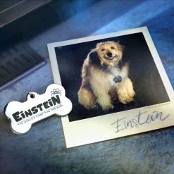 Zurück In Die Zukunft Time Travel Memories II Expansion Kit Doctor Collector -Optimal Model Geschäft x doco bttf11 j