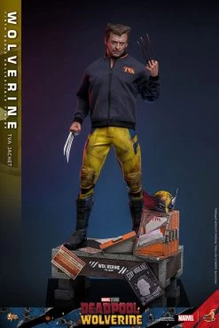 Deadpool & Wolverine Movie Masterpiece Actionfigur 1/6 Wolverine (TVA Jacket Version) 31 Cm -Optimal Model Geschäft x hot913607 f