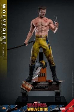 Deadpool & Wolverine Movie Masterpiece Actionfigur 1/6 Wolverine (TVA Jacket Version) 31 Cm -Optimal Model Geschäft x hot913607 h