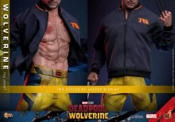 Deadpool & Wolverine Movie Masterpiece Actionfigur 1/6 Wolverine (TVA Jacket Version) 31 Cm -Optimal Model Geschäft x hot913607 r