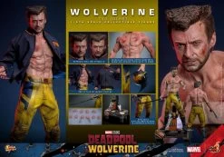 Deadpool & Wolverine Movie Masterpiece Actionfigur 1/6 Wolverine (TVA Jacket Version) 31 Cm -Optimal Model Geschäft x hot913607 u