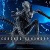 Alien: Romulus Movie Masterpiece Actionfigur 1/6 Scorched Xenomorph 44 Cm -Optimal Model Geschäft x hot913989 a