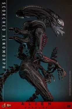 Alien: Romulus Movie Masterpiece Actionfigur 1/6 Scorched Xenomorph 44 Cm -Optimal Model Geschäft x hot913989 j