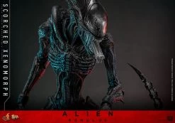 Alien: Romulus Movie Masterpiece Actionfigur 1/6 Scorched Xenomorph 44 Cm -Optimal Model Geschäft x hot913989 l