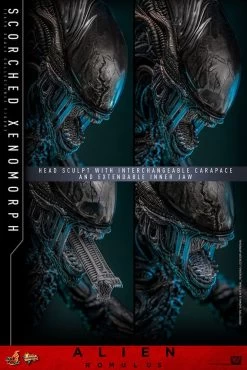 Alien: Romulus Movie Masterpiece Actionfigur 1/6 Scorched Xenomorph 44 Cm -Optimal Model Geschäft x hot913989 r