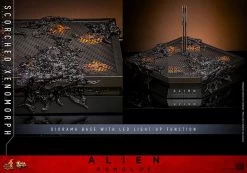 Alien: Romulus Movie Masterpiece Actionfigur 1/6 Scorched Xenomorph 44 Cm -Optimal Model Geschäft x hot913989 t