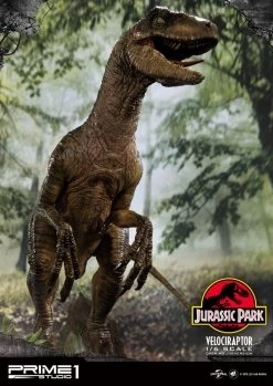 Jurassic Park Statue 1/6 Velociraptor 41 Cm -Optimal Model Geschäft x p1slmcjp 03 b