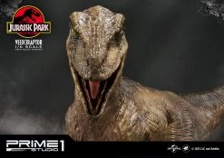 Jurassic Park Statue 1/6 Velociraptor 41 Cm -Optimal Model Geschäft x p1slmcjp 03 f