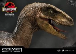 Jurassic Park Statue 1/6 Velociraptor 41 Cm -Optimal Model Geschäft x p1slmcjp 03 g