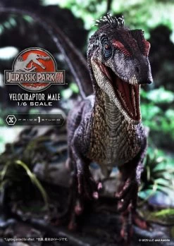 Jurassic Park III Legacy Museum Collection Statue 1/6 Velociraptor Male Bonus Version 40 Cm -Optimal Model Geschäft x p1slmcjp 10s a