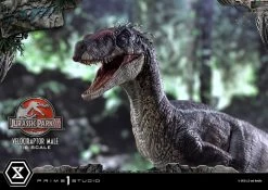 Jurassic Park III Legacy Museum Collection Statue 1/6 Velociraptor Male Bonus Version 40 Cm -Optimal Model Geschäft x p1slmcjp 10s m