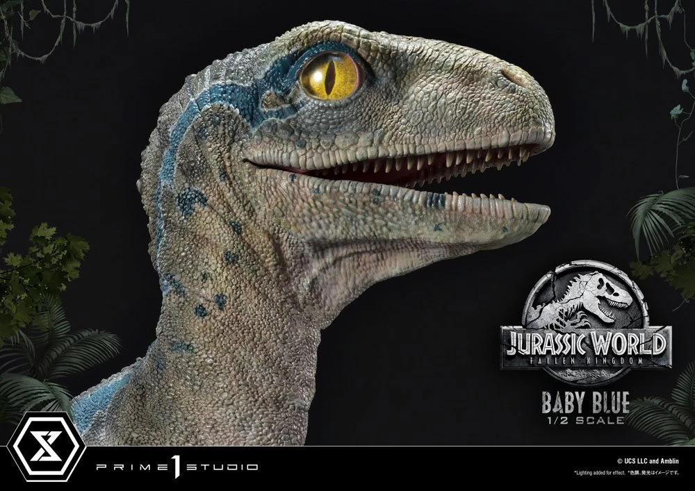 Jurassic World: Fallen Kingdom Prime Collectibles Statue 1/2 Baby Blue 34 Cm 20 Jurassic World: Fallen Kingdom Prime Collectibles Statue 1/2 Baby Blue 34 Cm – Bild 18