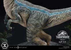 Jurassic World: Fallen Kingdom Prime Collectibles Statue 1/2 Baby Blue 34 Cm 41 Jurassic World: Fallen Kingdom Prime Collectibles Statue 1/2 Baby Blue 34 Cm -Optimal Model Geschäft x p1slmcjw2 08 s