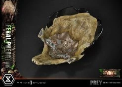 Prey (Movie) Museum Masterline Series Statue 1/3 Feral Predator Deluxe Bonus Version 89 Cm -Optimal Model Geschäft x p1smmpr 07dxs h