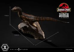 Jurassic Park Prime Collectibles Statue 1/10 Velociraptor Closed Mouth 19 Cm -Optimal Model Geschäft x p1spcfjp 08 b