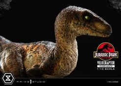 Jurassic Park Prime Collectibles Statue 1/10 Velociraptor Closed Mouth 19 Cm -Optimal Model Geschäft x p1spcfjp 08 f