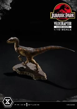 Jurassic Park Prime Collectibles Statue 1/10 Velociraptor Closed Mouth 19 Cm -Optimal Model Geschäft x p1spcfjp 08 l