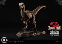 Jurassic Park Prime Collectibles Statue 1/10 Velociraptor Closed Mouth 19 Cm -Optimal Model Geschäft x p1spcfjp 08 o