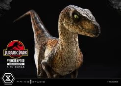 Jurassic Park Prime Collectibles Statue 1/10 Velociraptor Closed Mouth 19 Cm -Optimal Model Geschäft x p1spcfjp 08 r