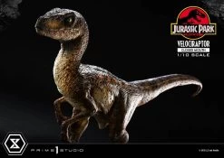 Jurassic Park Prime Collectibles Statue 1/10 Velociraptor Closed Mouth 19 Cm -Optimal Model Geschäft x p1spcfjp 08 t