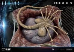 Aliens Premium Masterline Series Statue Warrior Alien Deluxe Bonus Version 67 Cm -Optimal Model Geschäft x p1spmdhal 02dxs q