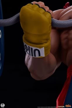 Street Fighter Premier Series Statue 1/4 Evil Ryu: Powerlifting 53 Cm -Optimal Model Geschäft x pcssfclryufit14ev o