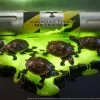Teenage Mutant Ninja Turtles Diorama Statue 1/1 Origins 13 Cm