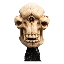 Herr Der Ringe Mini Statue Skull Of A Cave Troll 21 Cm -Optimal Model Geschäft x weta861304427 k